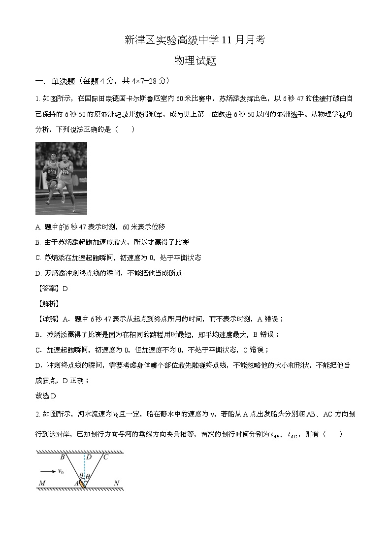 四川省成都市新津区实验高级中学2024-2025学年高三上学期11月月考 物理试题（含解析）