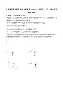 安徽省智学大联考·皖中名校联盟2024-2025学年高二上学期期末联考物理试卷