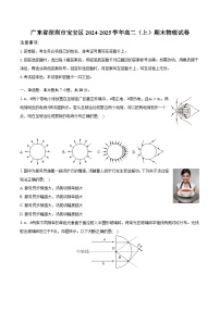 广东省深圳市宝安区2024-2025学年高二（上）期末物理试卷