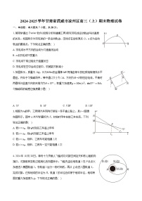 甘肃省武威市凉州区2024-2025学年高三上学期期末物理试卷