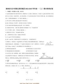 2024～2025学年湖南省长沙市雅礼教育集团高一上期末物理试卷(含解析)