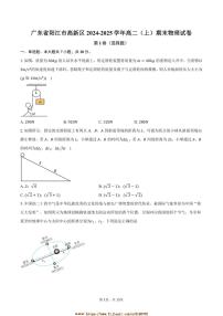 2024～2025学年广东省阳江市高新区高二上期末物理试卷(含解析)