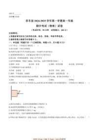 2024～2025学年新疆维吾尔自治区喀什地区莎车县高二上期中物理试卷(含答案)