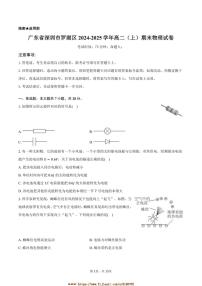 2024～2025学年广东省深圳市罗湖区高二上期末物理试卷(含解析)