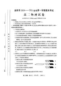 河南省洛阳市2024-2025学年高二上学期1月期末考试物理试题