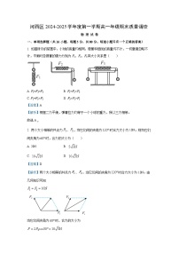 天津市河西区2024-2025学年高一上学期期末考试物理试卷（解析版）