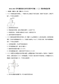 湖南省长沙市长郡中学2024-2025学年高二（上）期末物理试卷