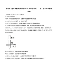 湖北省_楚天教科研协作体_2024-2025学年高二（下）收心考试物理试卷-普通用卷