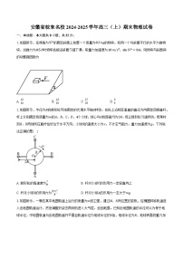 安徽省皖东名校2024-2025学年高三（上）期末物理试卷（含解析）
