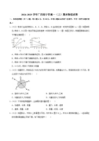 2024-2025学年广西南宁市高一（上）期末物理试卷