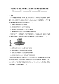 2025届广东省惠州市高三上学期第三次调研考试物理试题
