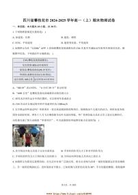 2024~2025学年四川省攀枝花市高一上期末物理试卷(含解析)