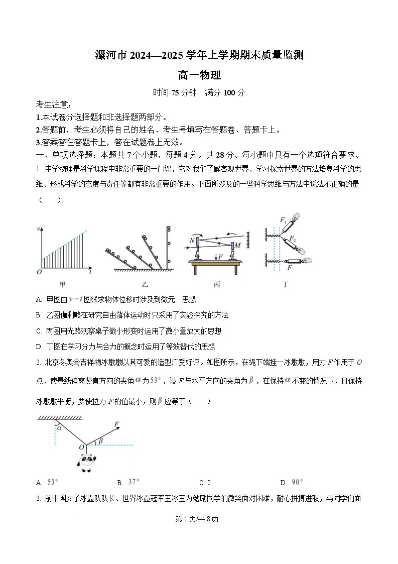 河南省漯河市2024-2025学年高一上学期期末考试物理试题（Word版附答案）