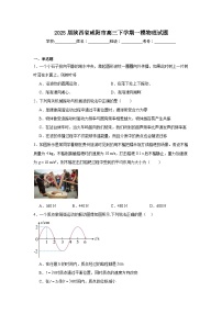 2025屆陜西省咸陽市高三下學(xué)期一模物理試題