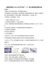 安徽省宣城市2024-2025学年高二（上）期末调研测试物理试卷