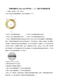 河南省南阳市2024-2025学年高二（上）期末考试物理试卷