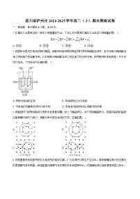 四川省泸州市2024-2025学年高二（上）期末物理试卷