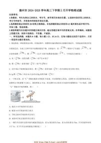 2024～2025学年山东省德州市高三下2月开学物理试卷(含答案)