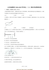2024～2025学年山东省威海市高二上期末考试物理试卷(含解析)