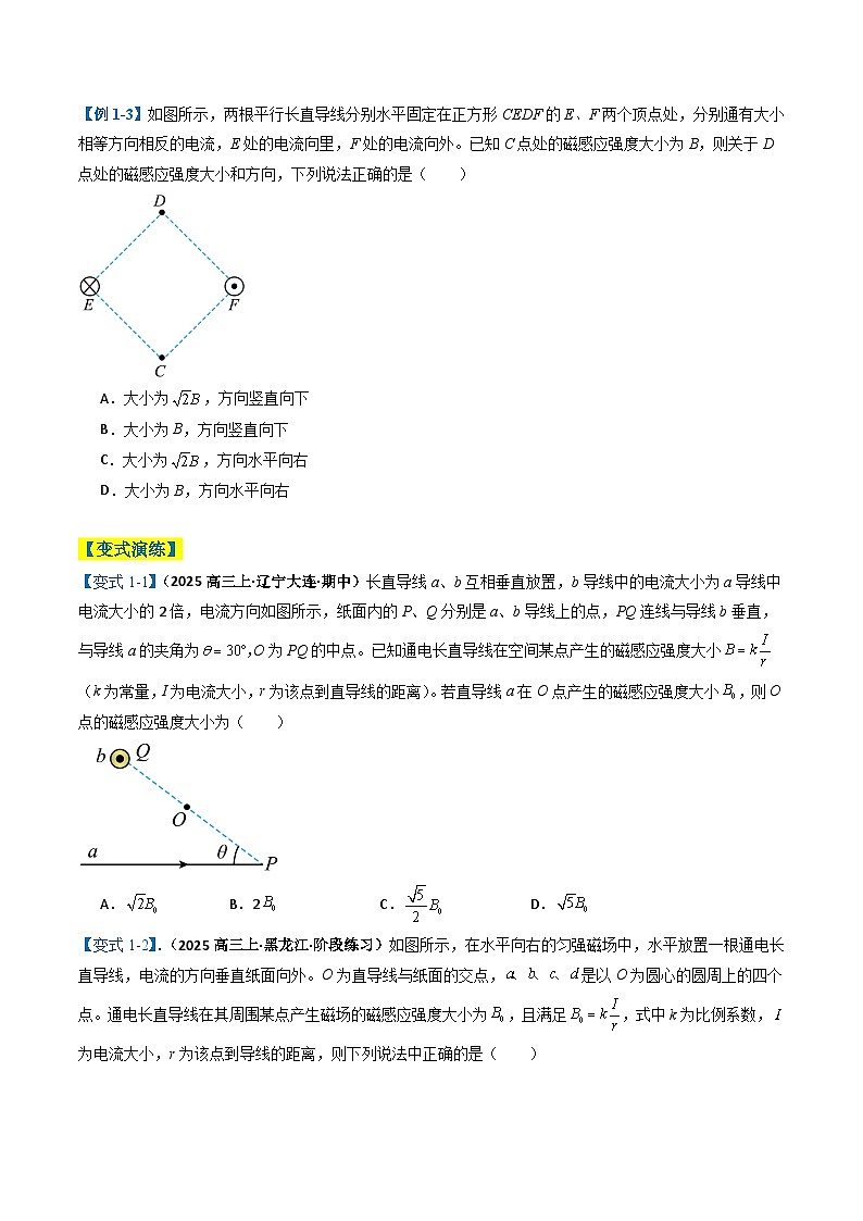 专题05 磁场(原卷版)第3页
