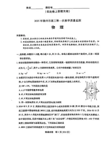 安徽省滁州市2024-2025学年高三下学期高考第一次教学质量检测 物理试卷（含答案）