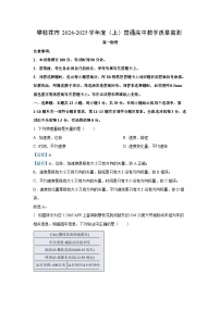 四川省攀枝花市2024-2025学年高一(上)1月期末物理试卷(解析版)