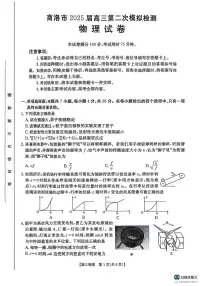 物理丨陕西省商洛市2025届高三下学期3月第二次模拟考试(商洛二模)物理试卷及答案
