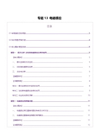 專題13 電磁感應(yīng)（講義）-高考物理二輪復(fù)習(xí)講練測(cè)（新高考通用）