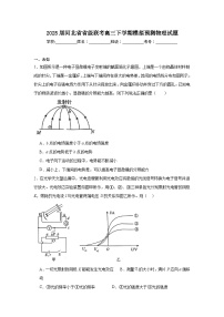 2025届河北省省级联考高三下学期模拟预测物理试题