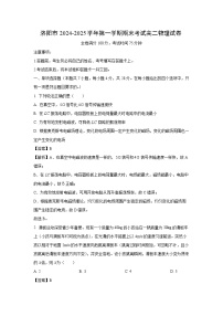 2024-2025学年河南省洛阳市高二上学期1月期末考试物理试卷（解析版）