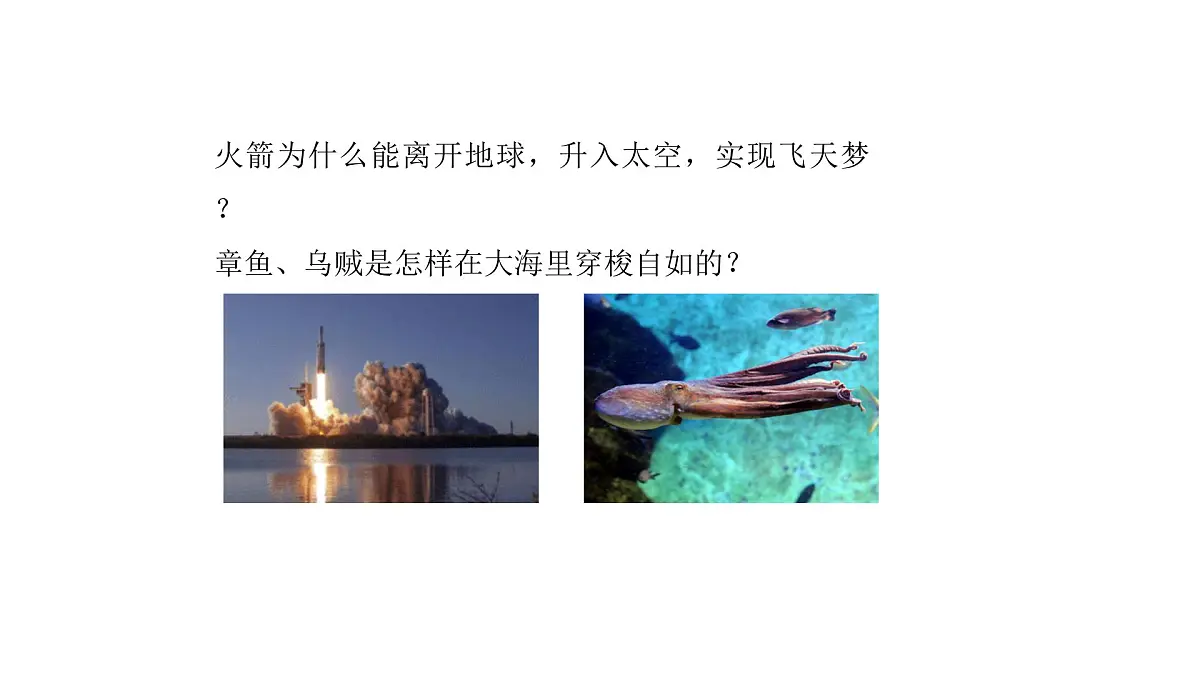 1.6 反冲现象 火箭 课件 高二物理人教版(2019)选择性必修1第2页