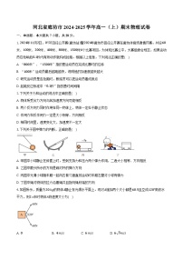 河北省廊坊市2024-2025学年高一（上）期末物理试卷【含解析】
