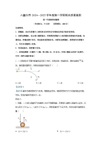 2024~2025学年贵州省六盘水市高一上学期期末考试物理试卷(解析版)