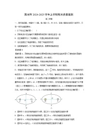 2024~2025学年河南省漯河市高二上学期期末质量监测物理试卷(解析版)