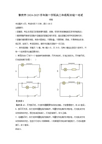 广东省肇庆市2024-2025学年高二上学期期末统一考试物理试卷（解析版）