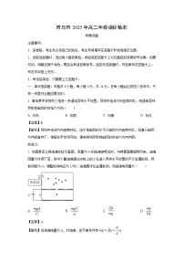 山东省青岛市2024-2025学年高二上学期期末调研检测物理试卷（解析版）
