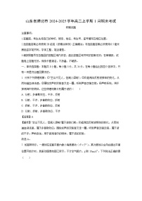 山东省潍坊市2024-2025学年高二上学期1月期末物理试卷(解析版)