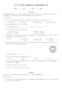 2024～2025学年上海崇明区高三(上)期末物理试卷(一模)(含解析)