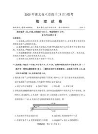 2025年湖北省八市联考高三下学期3月物理试题及答案