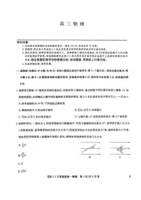 2025届九师联盟高三2月质检物理试题（含答案）