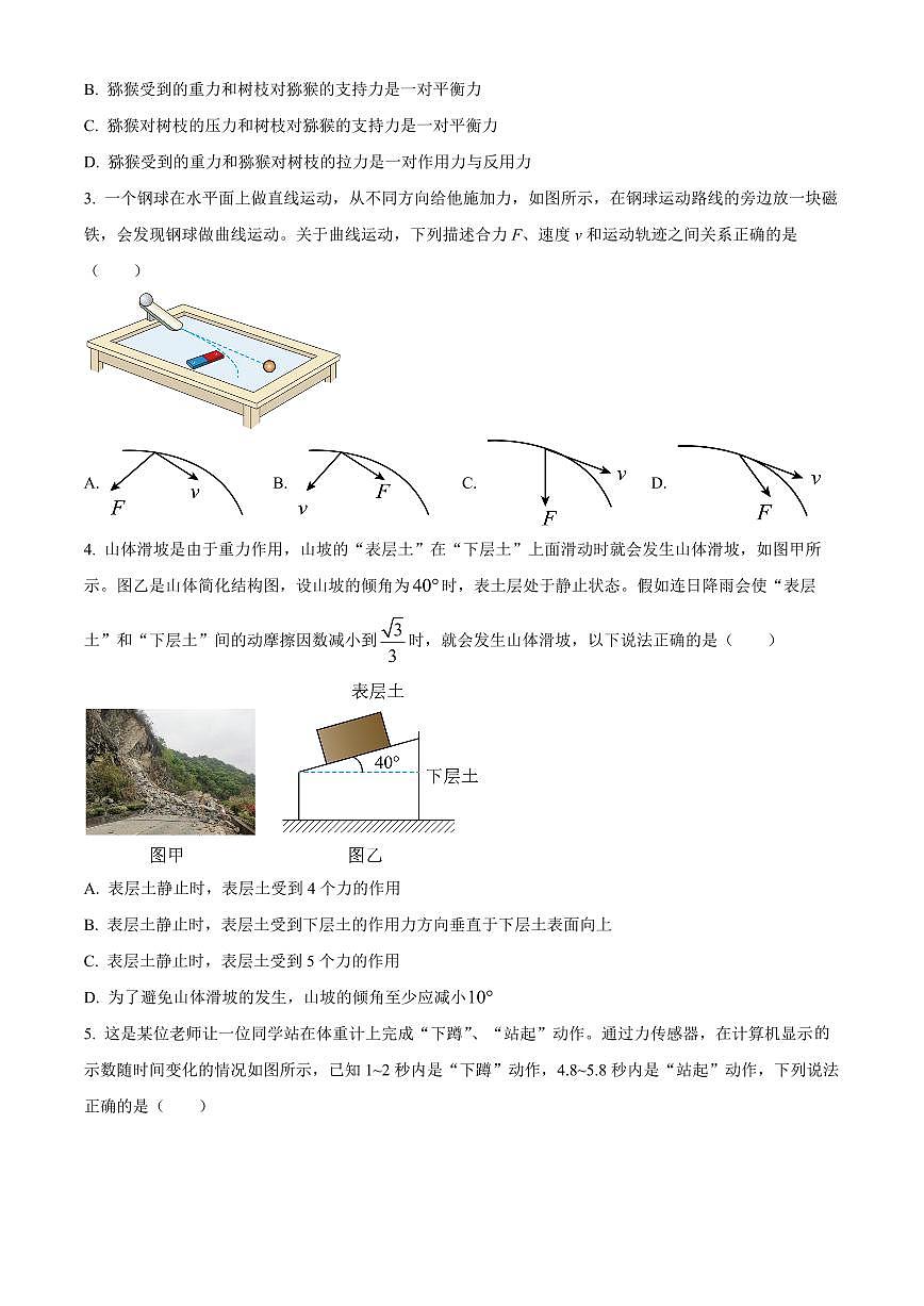 广西百色市普通高中2024-2025学年高一上学期期末教学质量调研物理试题 Word版无答案第2页