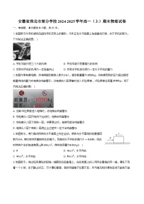 安徽省淮北市部分学校2024-2025学年高一（上）期末物理试卷-普通用卷