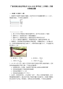 广西壮族自治区河池市2024-2025学年高三上学期1月期末物理试题