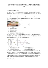 辽宁省大连市2024-2025学年高三上学期双基考试物理试卷