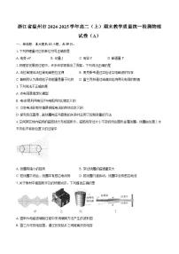 浙江省温州市2024-2025学年高二（上）期末教学质量统一检测物理试卷（A）-普通用卷