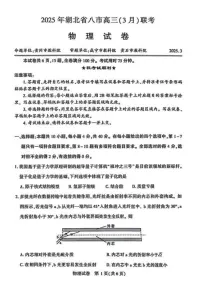 2025届湖北省八市高三下学期3月联考（二模）物理试题（含答案）