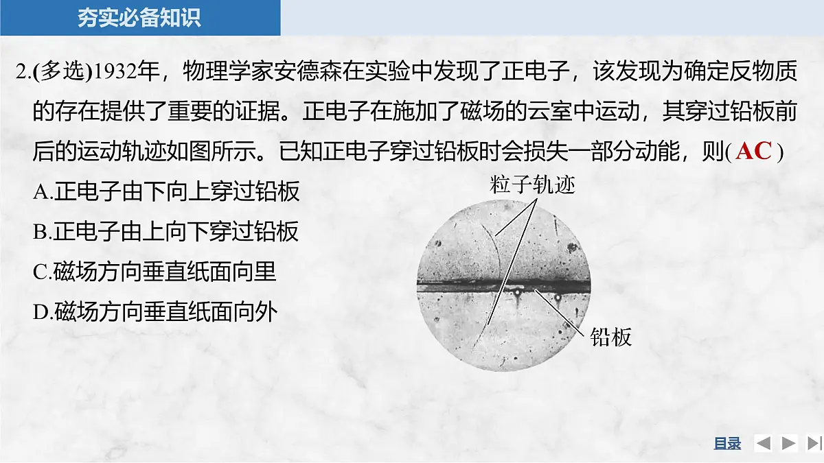 2025届高三物理一轮复习精品课件第十章磁场第2讲磁场对运动电荷的作用第8页