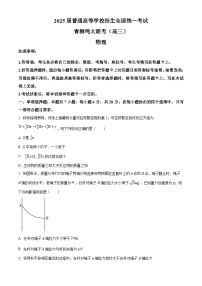 2025届河南省青桐鸣联考高三下学期模拟预测物理试题（原卷版+解析版）