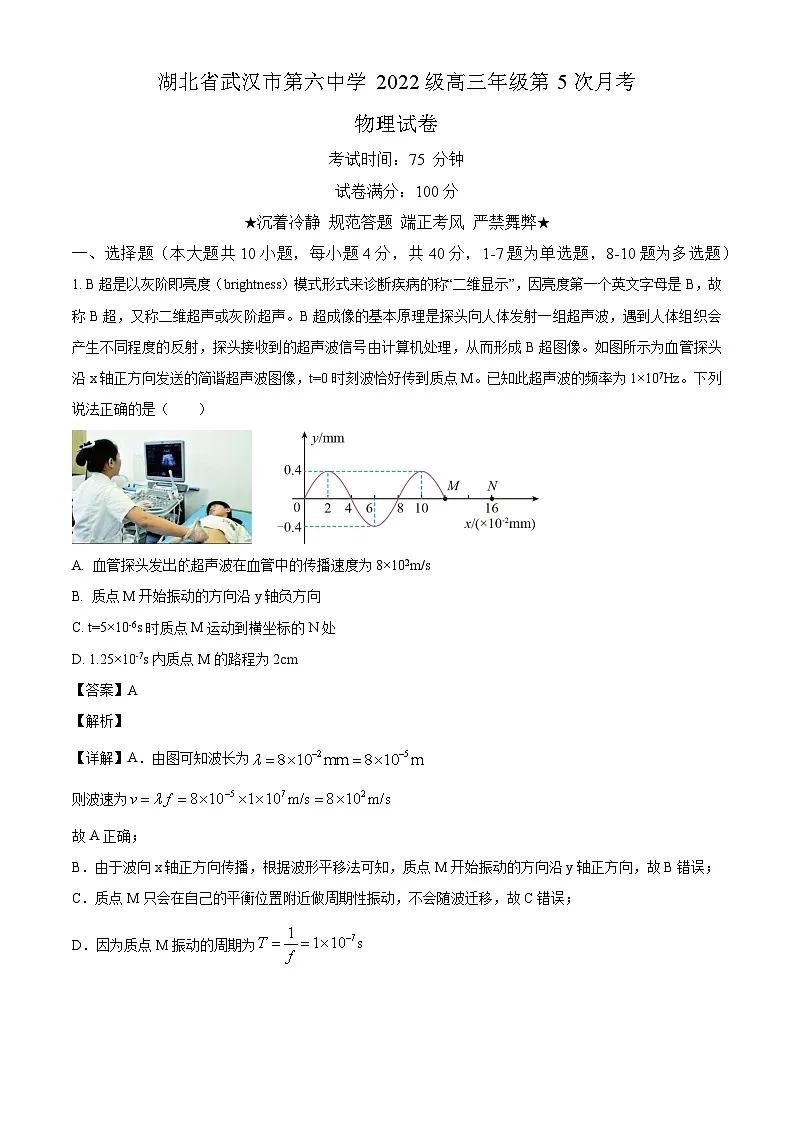 湖北省武汉市第六中学2024-2025学年高三下学期第5次月考物理试卷(含解析)第1页