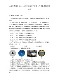 上海市青浦区2024-2025学年高三下学期3月质量检测  物理试卷（含解析）